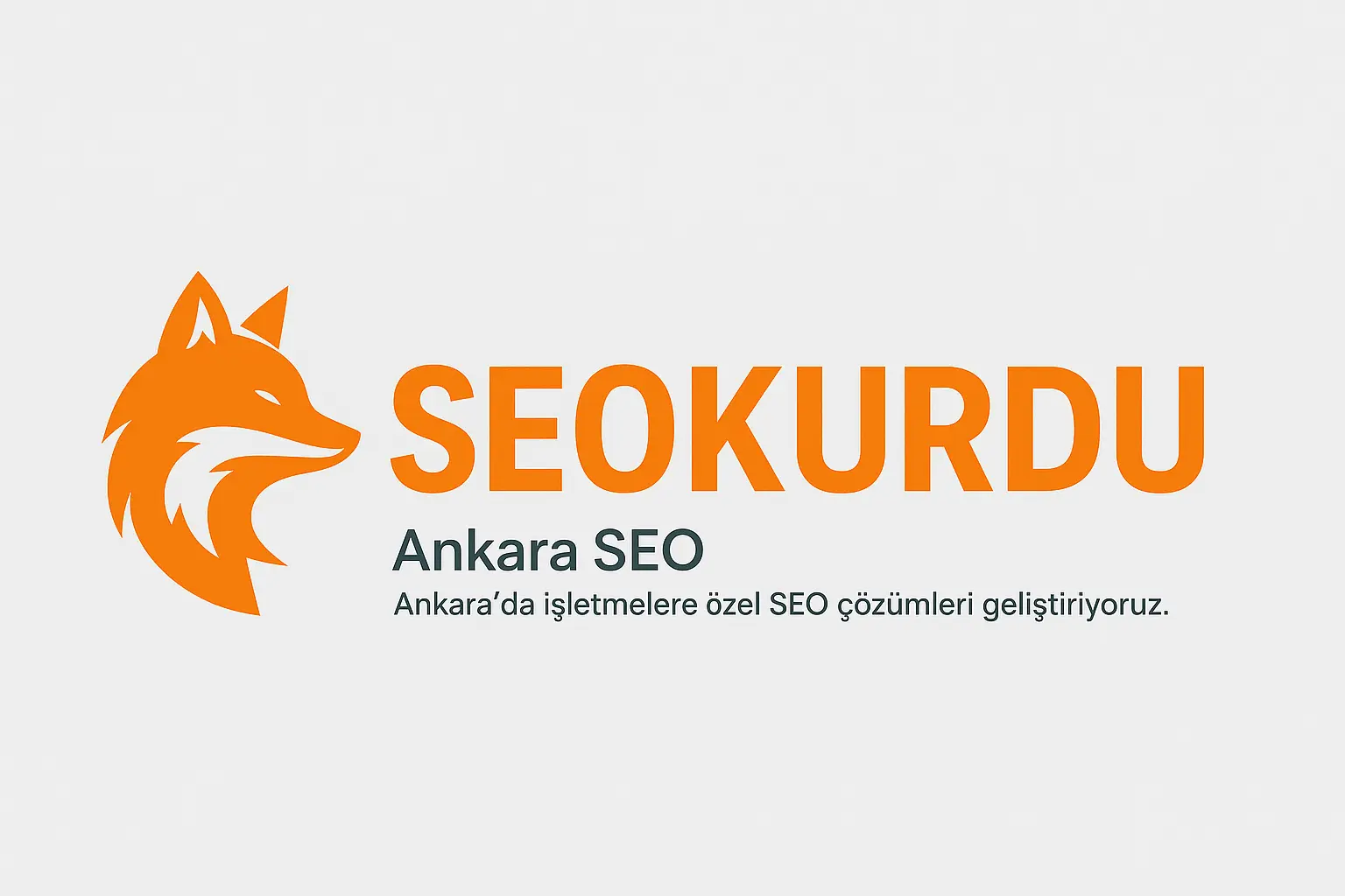 SEO Kurdu Ofis İç Mekan SEO Kurdu Ankara ofis iç mekan çalışma alanı