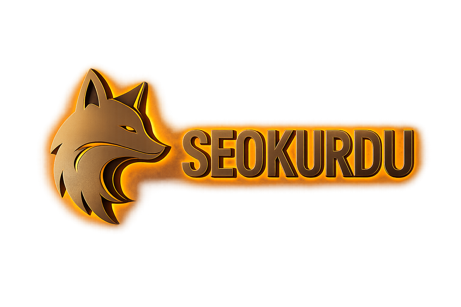 SEO Kurdu Kurumsal SEO Operasyon Yapısı SEO Kurdu kurumsal SEO operasyon yapısı