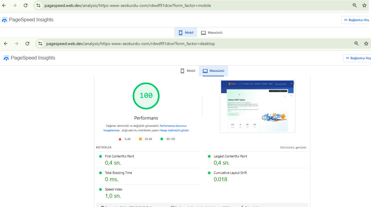 SEO Kurdu masaüstü performans skoru 100 tam puan PageSpeed Insights ekran görüntüsü