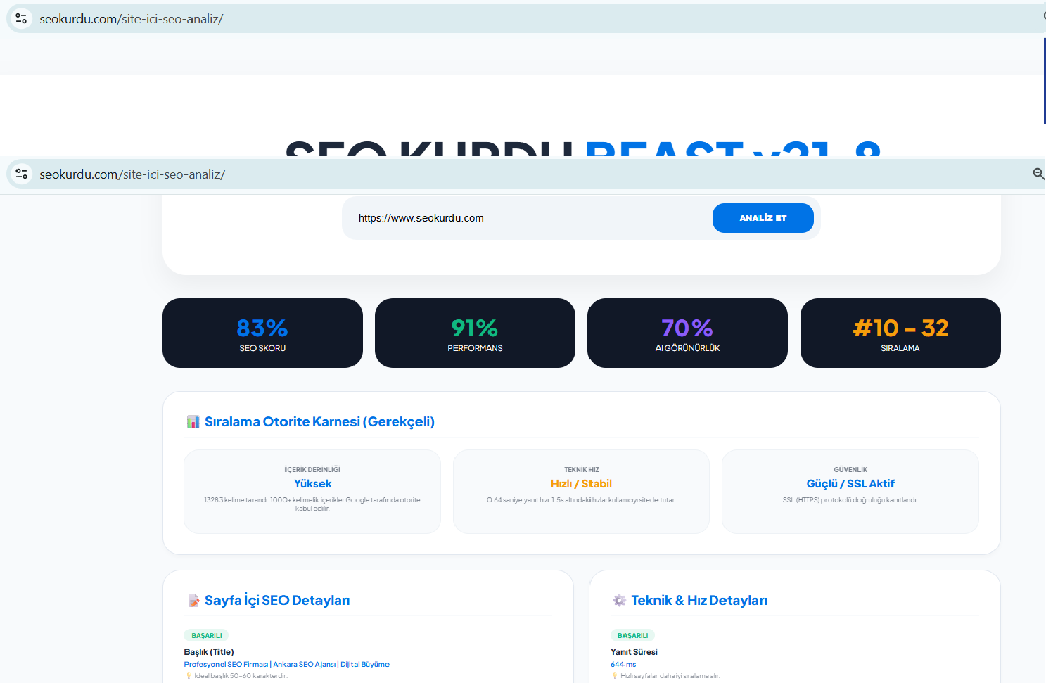SEO Kurdu Site İçi SEO Analiz SEO Kurdu Site İçi SEO Analiz aracı ekran görüntüsü