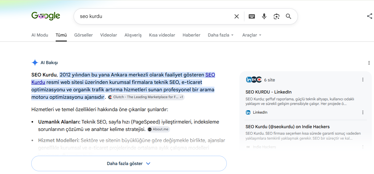 SEO Kurdu Al Bakışı